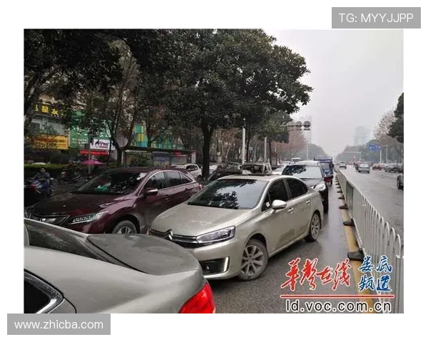 娄底与长沙城市对比探索交通文化发展与经济潜力差异分析