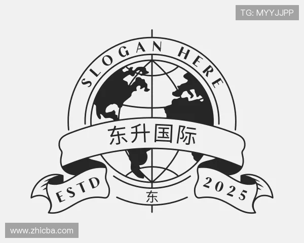发现东升国际